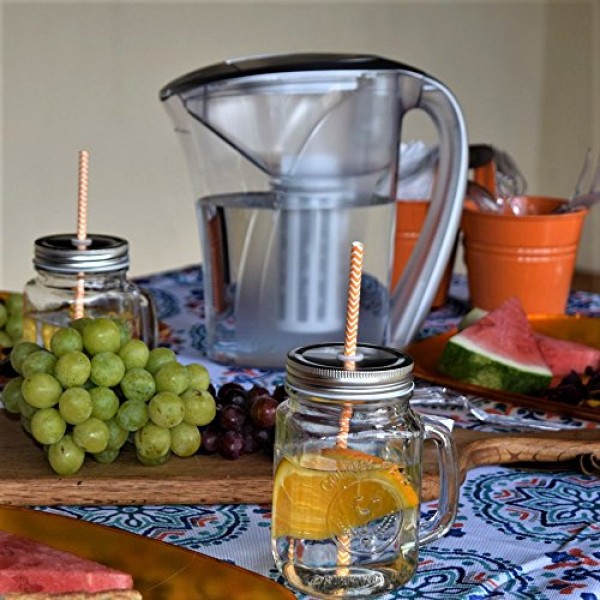 Clear2O 고급 중력 정수 필터 피처, 48온스, 실버