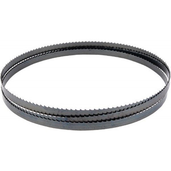 띠톱 DCS371NT용 DeWalt 띠톱날(길이: 835mm, 너비: 12mm, 두께: 0.5mm, 톱니 피치: 1.4mm) DT8461