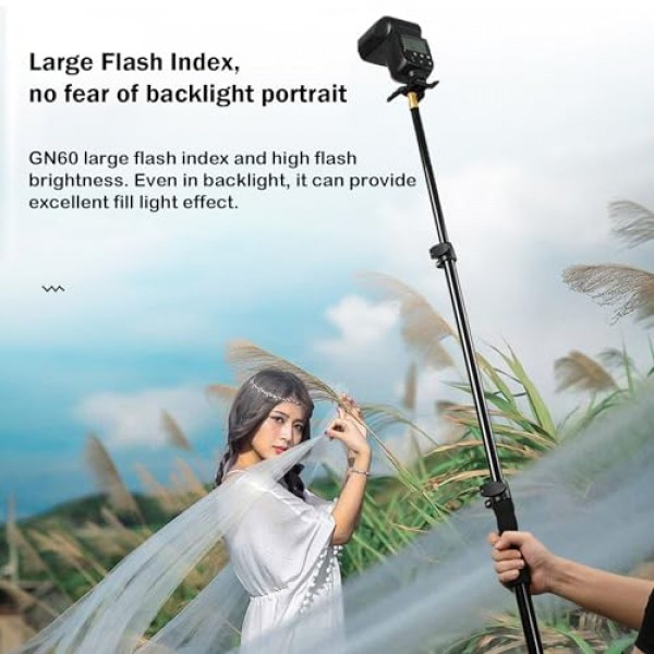 Godox TT600 2.4G 무선 플래시 스피드라이트 마스터/슬레이브 플래시, Canon Nikon Pentax Olympus Fujifilm Panasonic(TT600)과 호환되는 트리거 시스템 내장