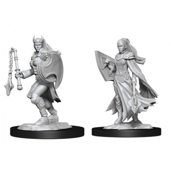 D&D Nolzur의 놀라운 미니어처: Kalashtar 성직자 여성