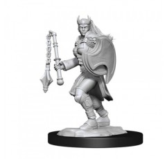 D&D Nolzur의 놀라운 미니어처: Kalashtar 성직자 여성