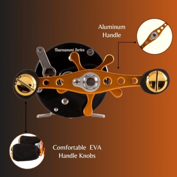 메기 프로 토너먼트 시리즈 600CTS 라운드 베이트캐스팅 릴 - 6+1 스테인레스 스틸 볼 베어링, 5.3:1 기어비, 19파운드 드래그, 황동 기어, 원심 브레이크, 대형 메기 낚시를