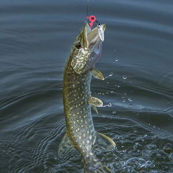 낚시 지그 헤드 키트 낚시 물 후크 낚시 후크 루어 지그 낚시 액세서리 및 배스와 크래피용 플라스틱 상자, 1/16온스