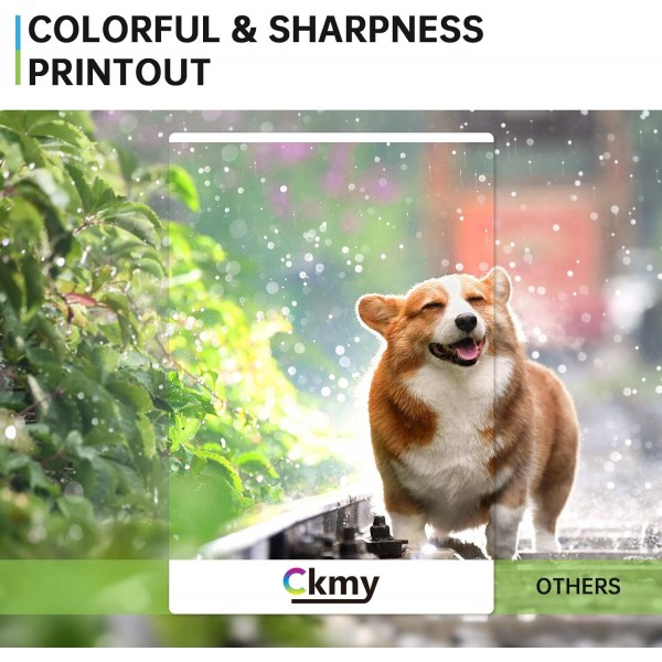 CKMY 541XL 캐논 CL-541XL 541XL 잉크 카트리지 멀티팩 캐논 Pixma TS5150 MX475 MG4250 MG3150 MG3250 MG3550 MG3600 MG3650 MG3650s MG3650 MG3150s MG2