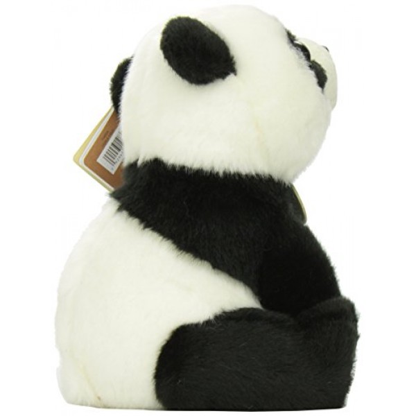 Aurora - Miyoni - 10