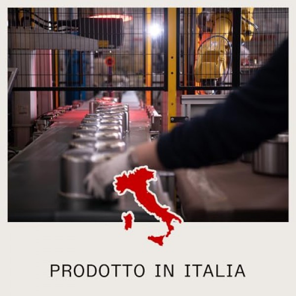 Made In 조리기구 - 10인치 스테인리스 스틸 프라이팬 - 5겹 스테인리스 클래드 - 전문가용 조리기구 - 이탈리아에서 제작 - 인덕션 호환