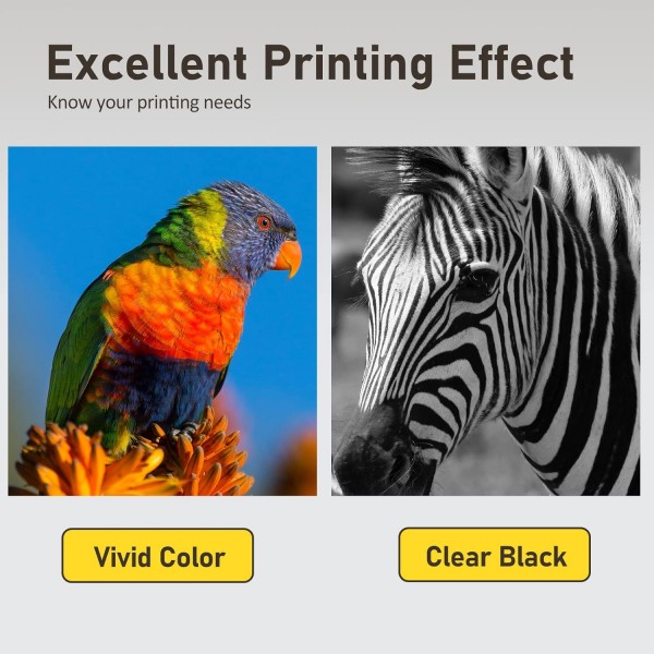 JANMORE 재생 잉크 카트리지 교체용 HP 302 302 XL, 2 검정, HP Envy 4520 4512 4516 Officejet 5252 3830 3833 4655 5255 Deskjet 1112 2130 3630 프린터 3