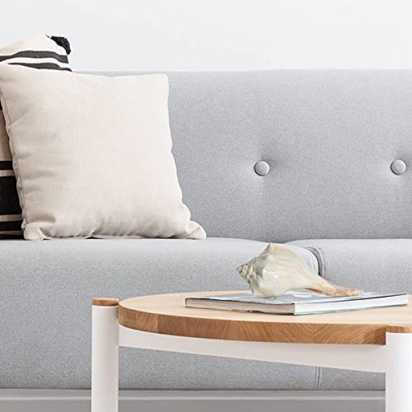 대서양 고래 바다 셸 | 세련된 대서양 고래 6-7