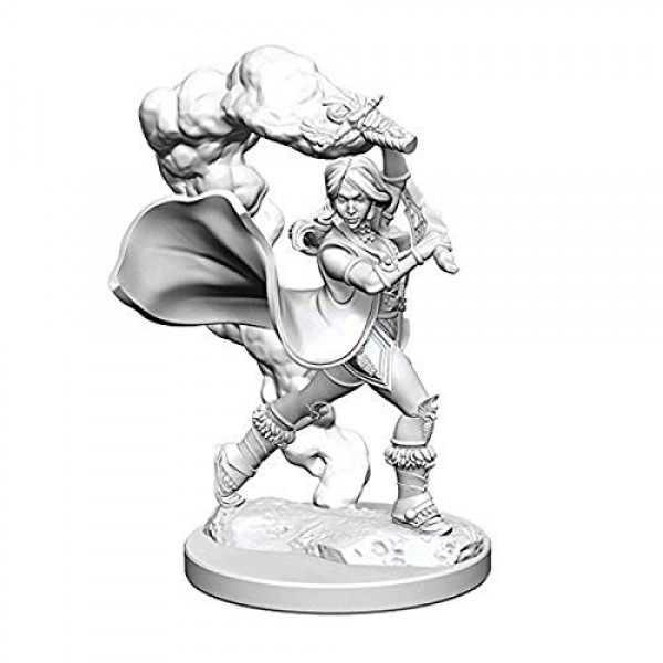 WizKids Pathfinder, 도색되지 않은 미니어처를 깊게 절단: 웨이브 1: 인간 여성 성직자