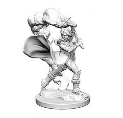 WizKids Pathfinder, 도색되지 않은 미니어처를 깊게 절단: 웨이브 1: 인간 여성 성직자