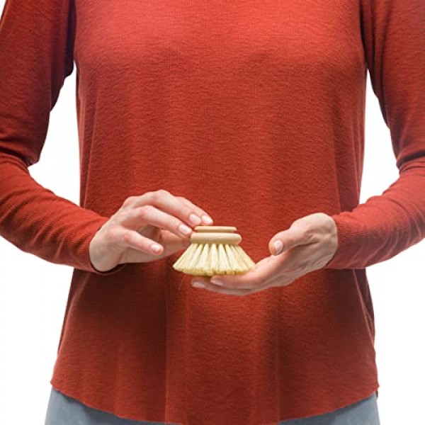 Redecker Tampico 접시 브러시용 교체 헤드, 2인치, 2개 세트, 100% 내구성이 뛰어난 천연 탐피코 섬유 및 미처리 너도밤나무, 독일산